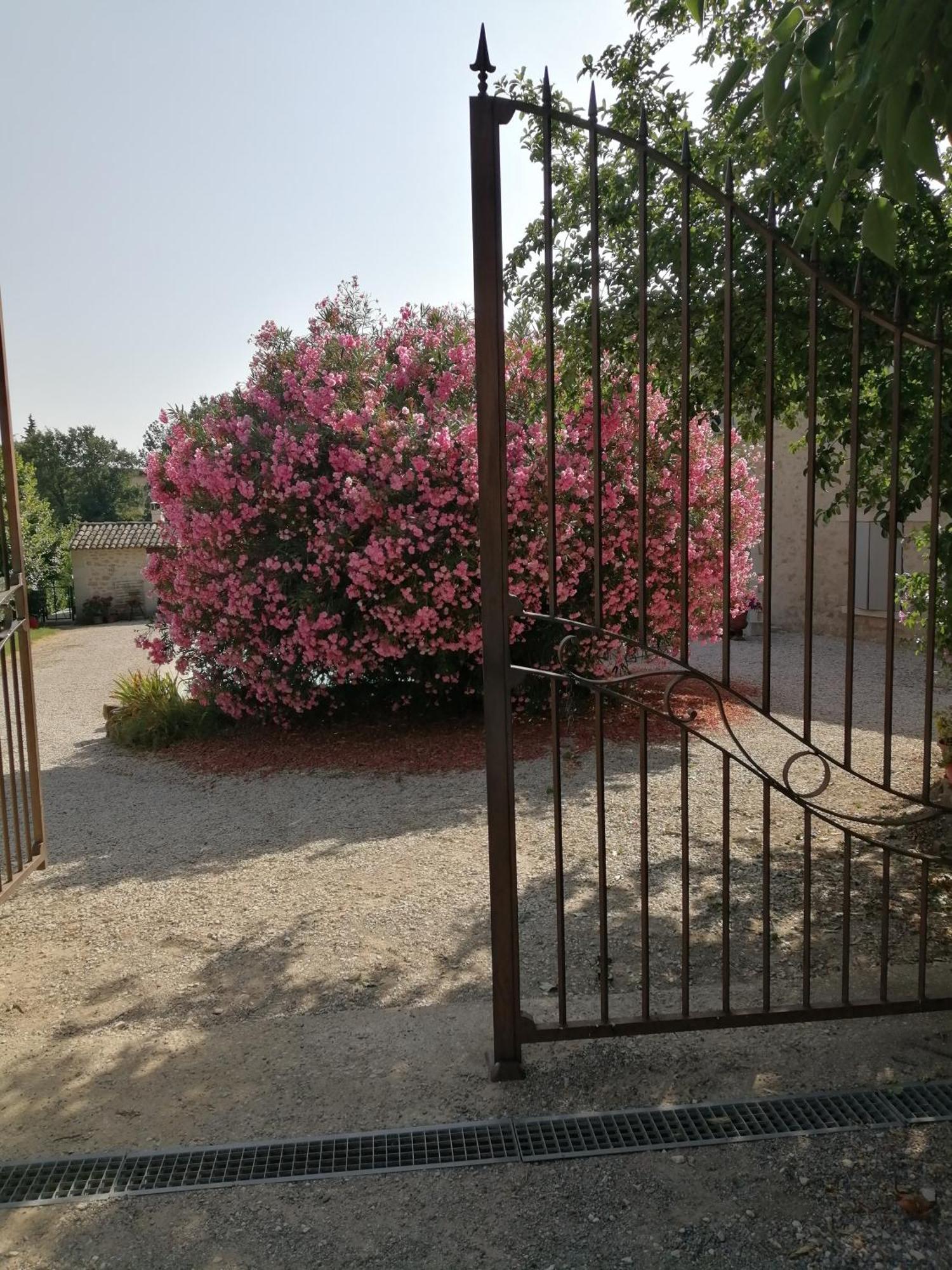 Chambres D'Hotes Le Vignoble Cucuron Bagian luar foto